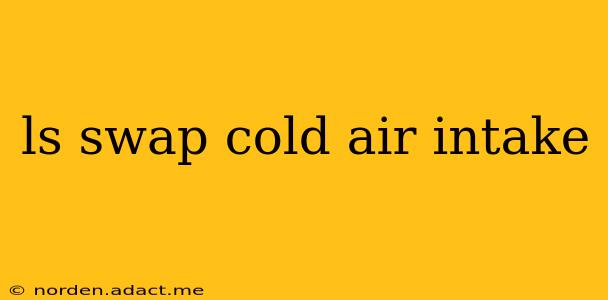 ls swap cold air intake