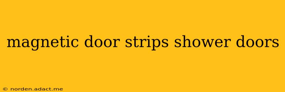 magnetic door strips shower doors