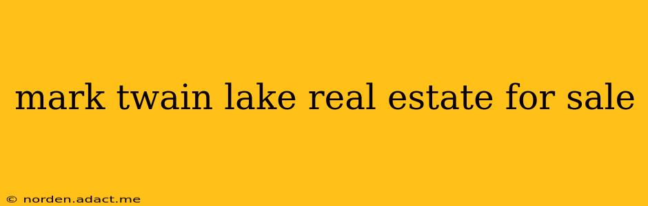 mark twain lake real estate for sale