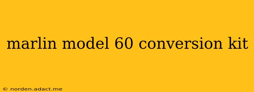 marlin model 60 conversion kit