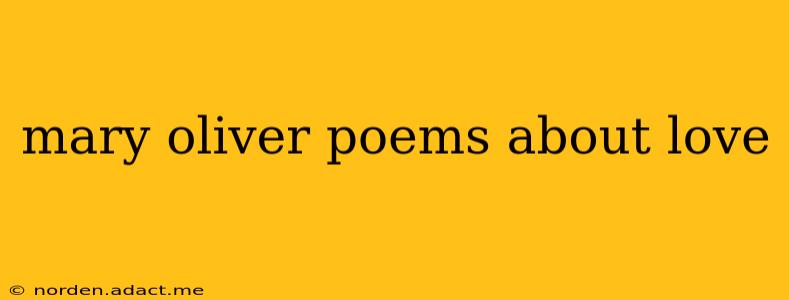 mary oliver poems about love