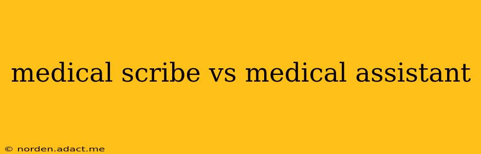 medical scribe vs medical assistant