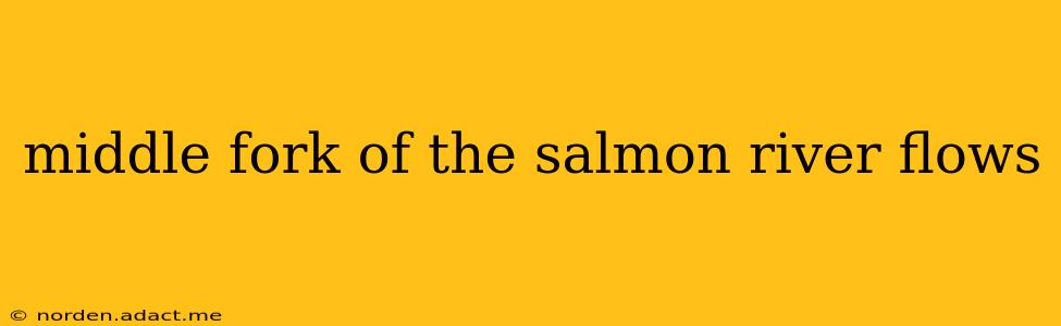 middle fork of the salmon river flows