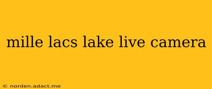 mille lacs lake live camera