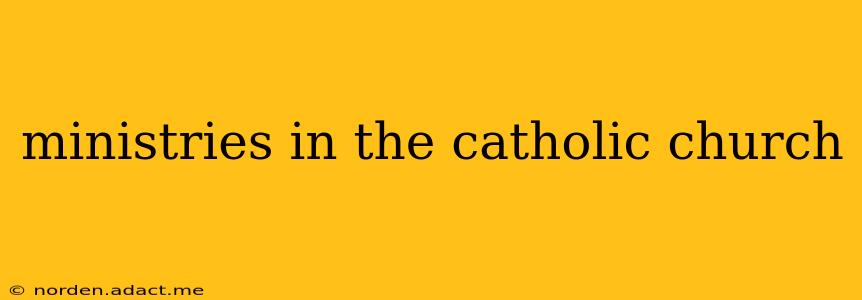 ministries in the catholic church