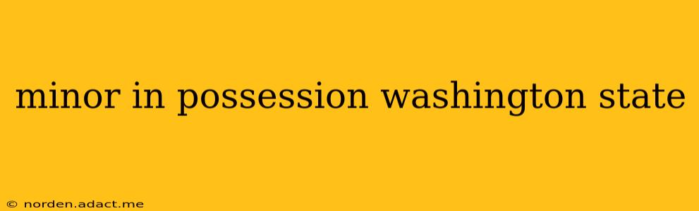 minor in possession washington state
