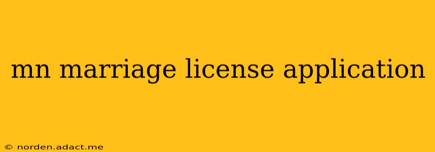 mn marriage license application