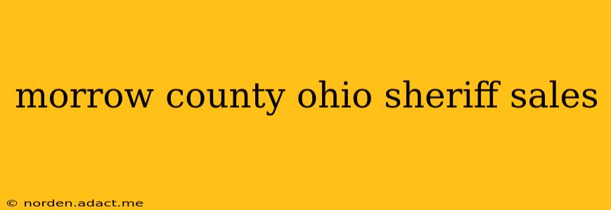 morrow county ohio sheriff sales