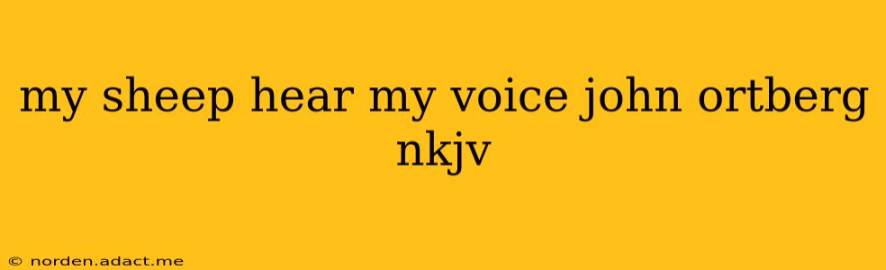 my sheep hear my voice john ortberg nkjv