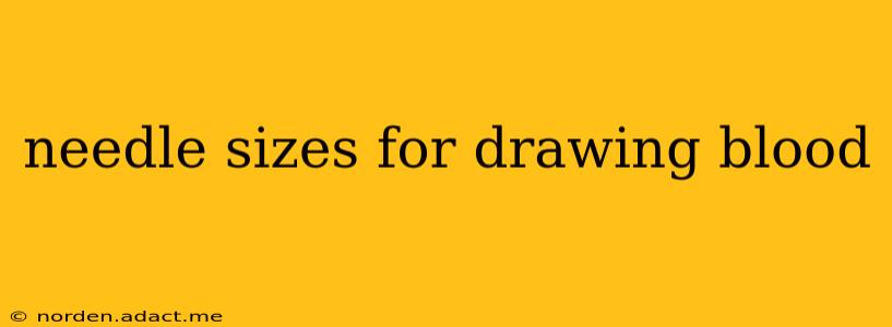 needle sizes for drawing blood