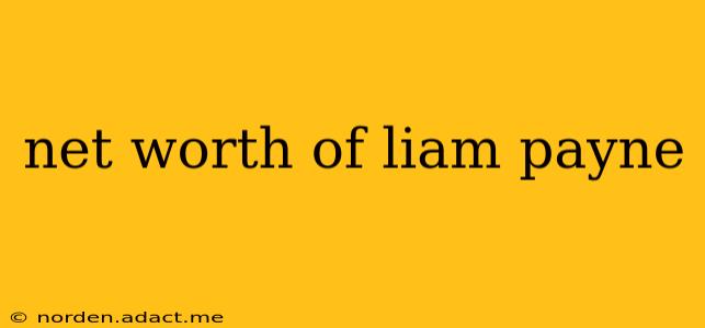 net worth of liam payne