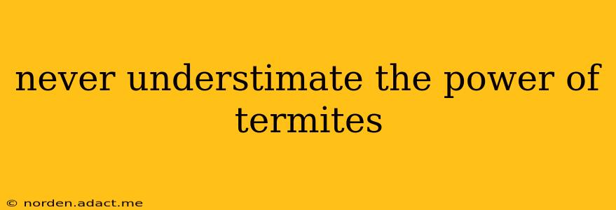 never understimate the power of termites