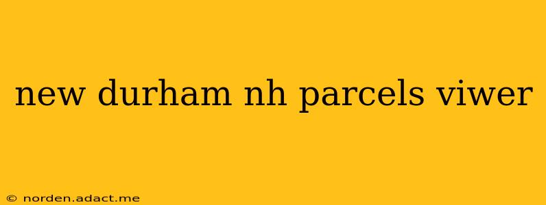 new durham nh parcels viwer