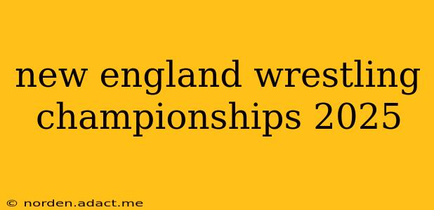 new england wrestling championships 2025