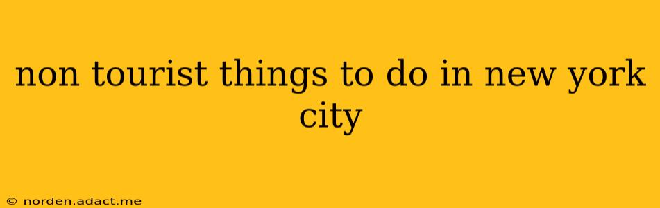 non tourist things to do in new york city