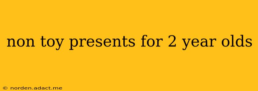 non toy presents for 2 year olds
