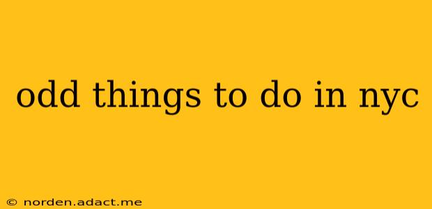 odd things to do in nyc