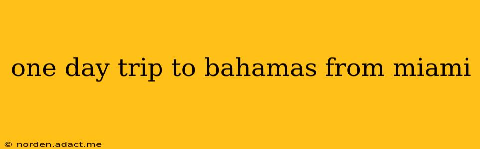 one day trip to bahamas from miami