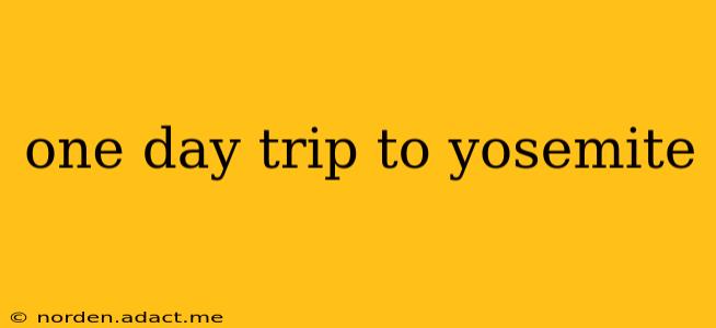 one day trip to yosemite