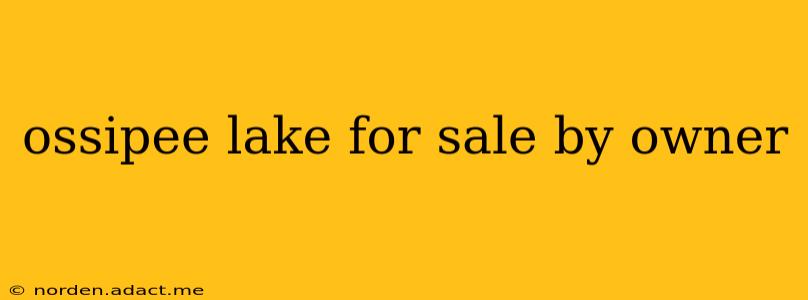 ossipee lake for sale by owner