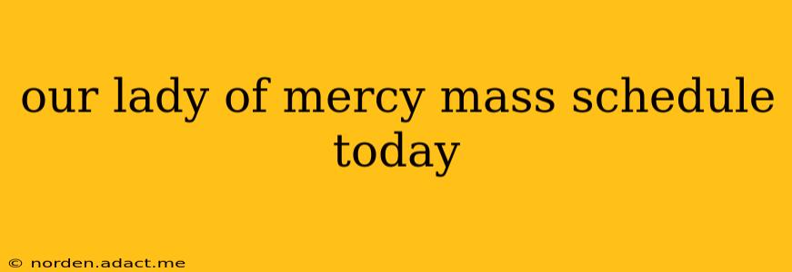 our lady of mercy mass schedule today