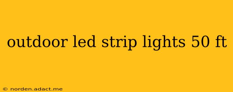 outdoor led strip lights 50 ft