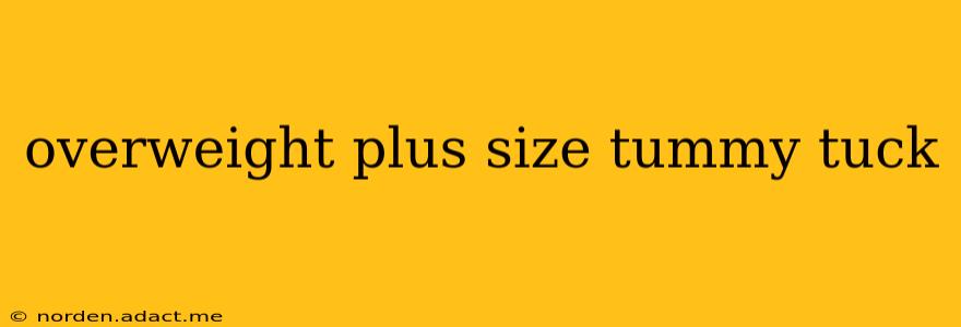 overweight plus size tummy tuck