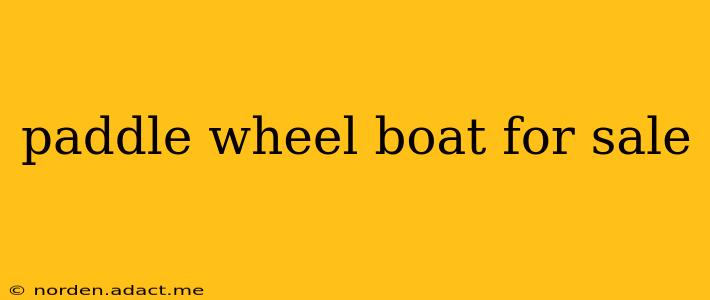 paddle wheel boat for sale