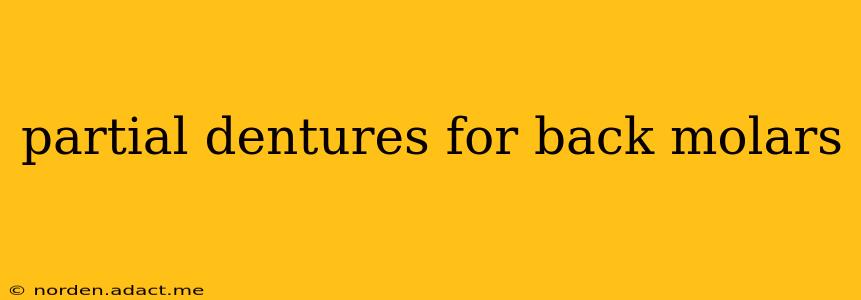 partial dentures for back molars