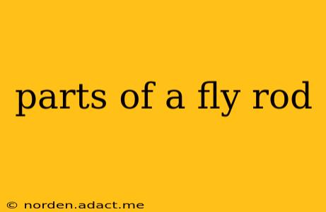 parts of a fly rod