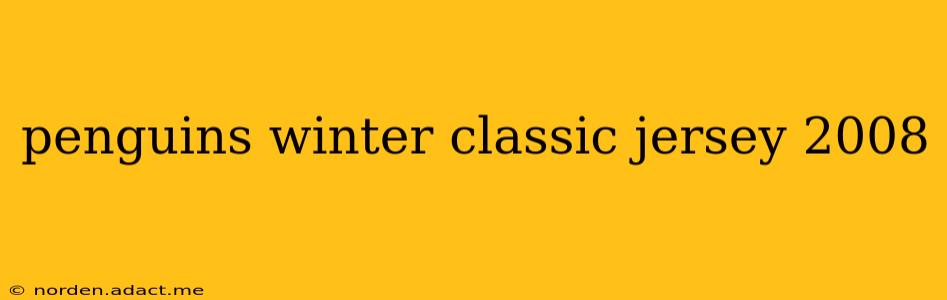 penguins winter classic jersey 2008