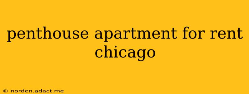 penthouse apartment for rent chicago