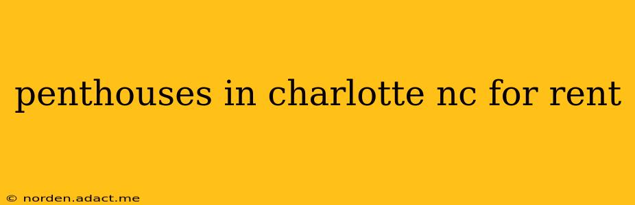 penthouses in charlotte nc for rent