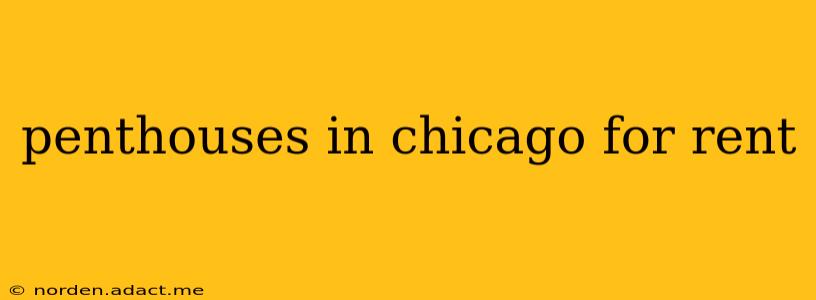 penthouses in chicago for rent
