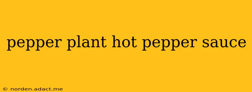 pepper plant hot pepper sauce