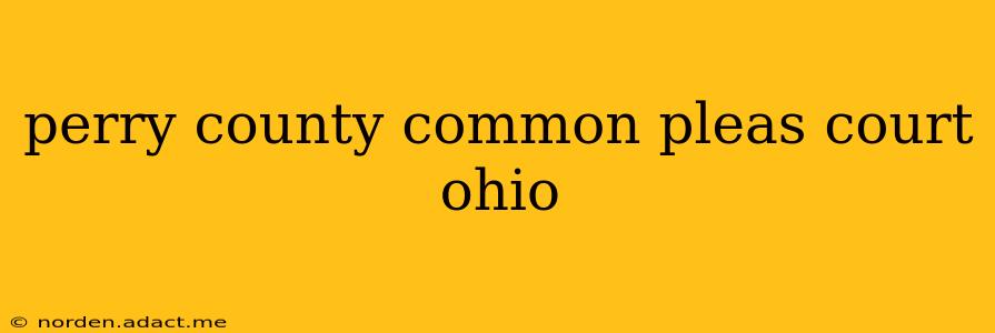 perry county common pleas court ohio