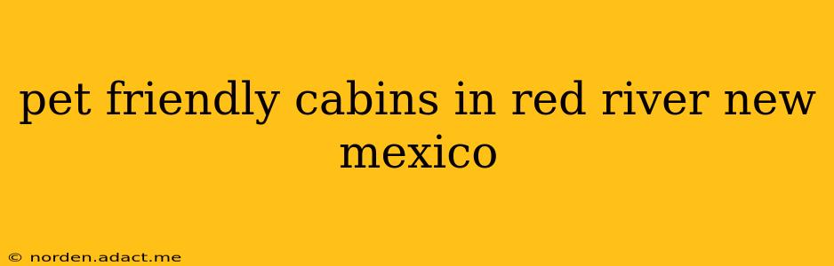 pet friendly cabins in red river new mexico
