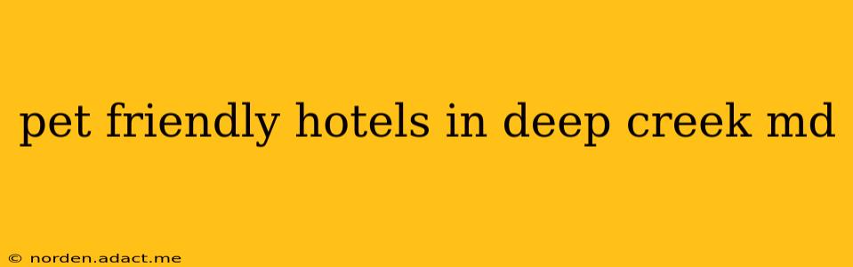 pet friendly hotels in deep creek md
