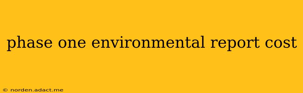 phase one environmental report cost