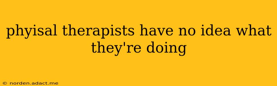 phyisal therapists have no idea what they're doing