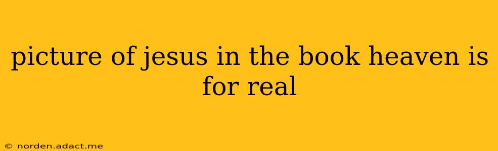 picture of jesus in the book heaven is for real