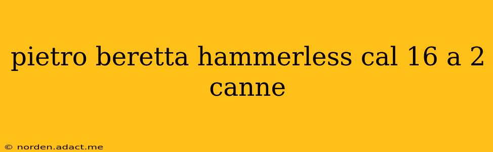 pietro beretta hammerless cal 16 a 2 canne