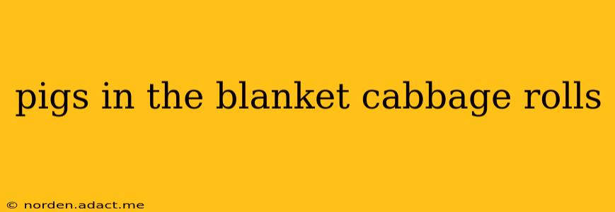 pigs in the blanket cabbage rolls