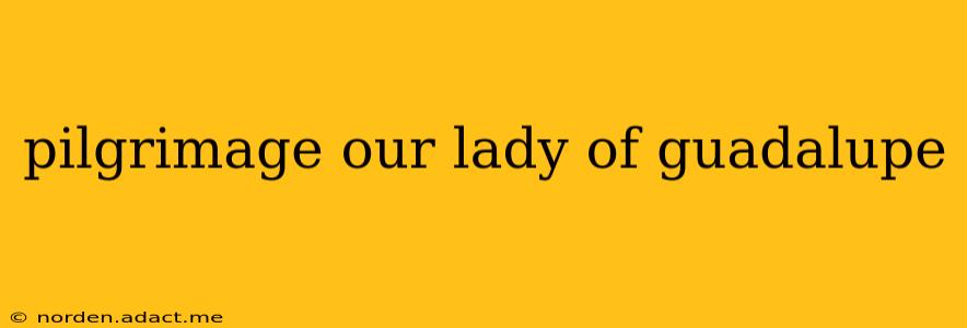 pilgrimage our lady of guadalupe