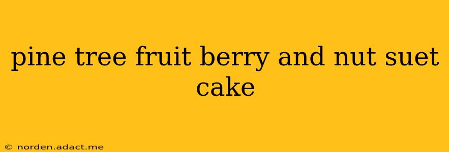pine tree fruit berry and nut suet cake