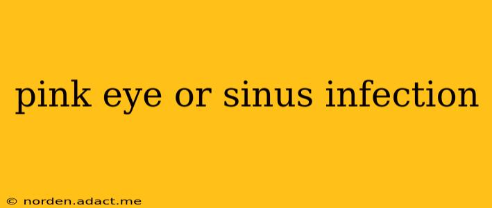 pink eye or sinus infection