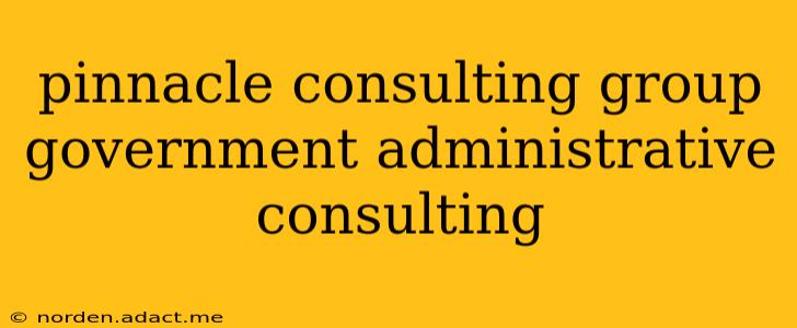 pinnacle consulting group government administrative consulting