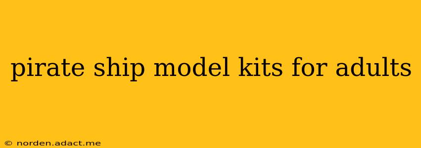 pirate ship model kits for adults