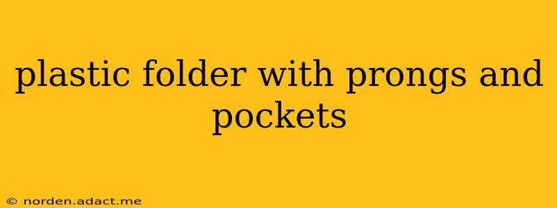 plastic folder with prongs and pockets