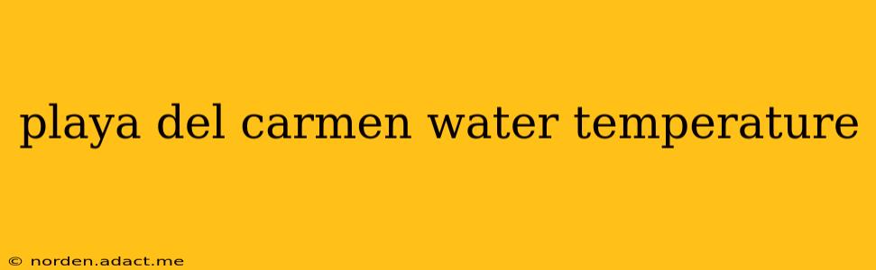 playa del carmen water temperature